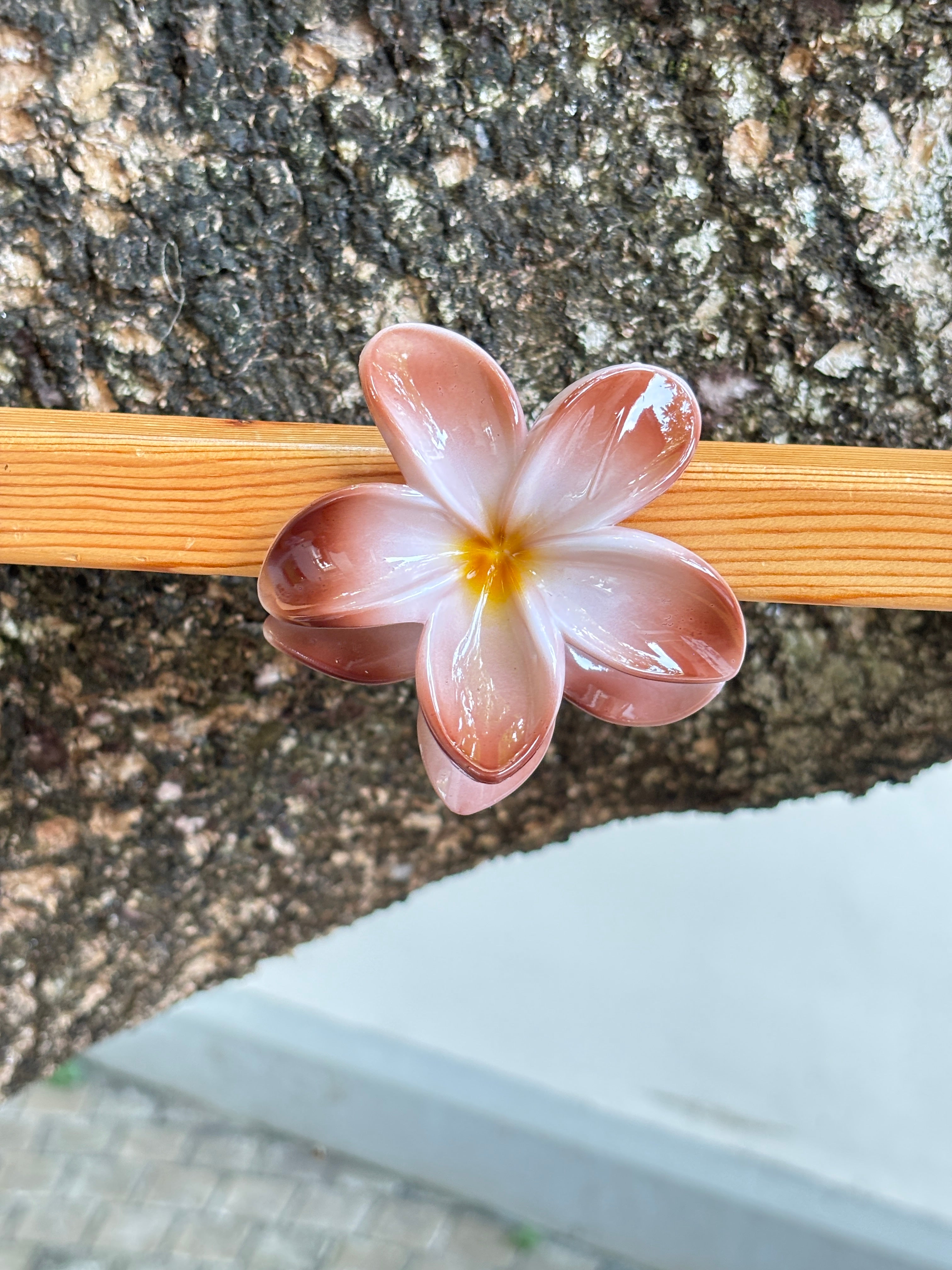 Hibiscus Flower Hair Clip brown